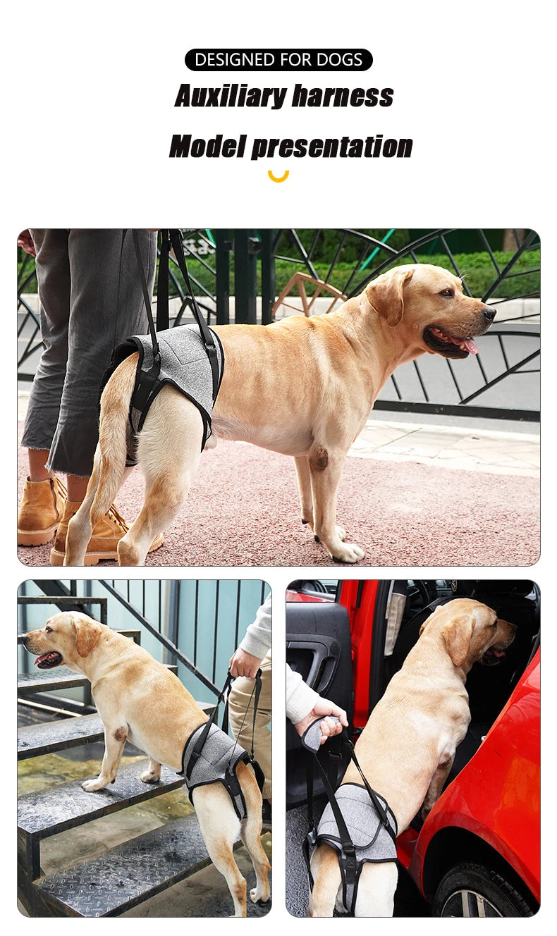 Adjustable Dog Lift Harness for Large Dogs Soft Padded Pet Rear Leg Support for Old Disabled Joint Injuries Dog Back Leg Hold