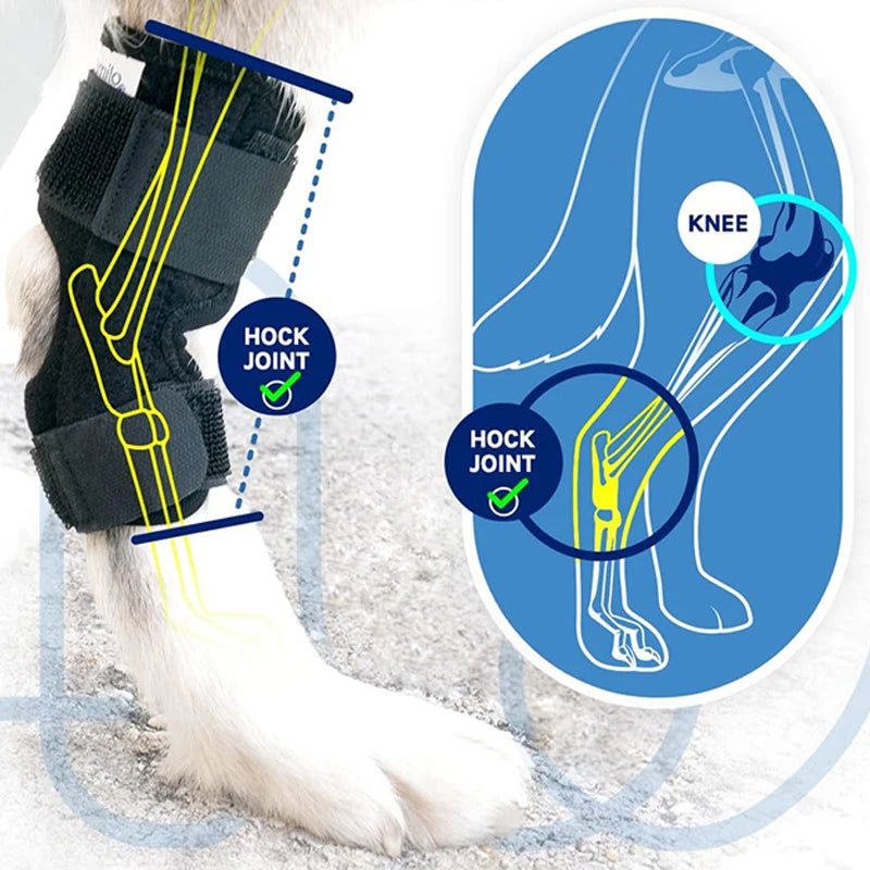 Protector Support Protects Bandage Pet Knee Pads Dogs Injury Recovery for Leg Hock Joint Wrap Breathable Injury Recover Legs Dog