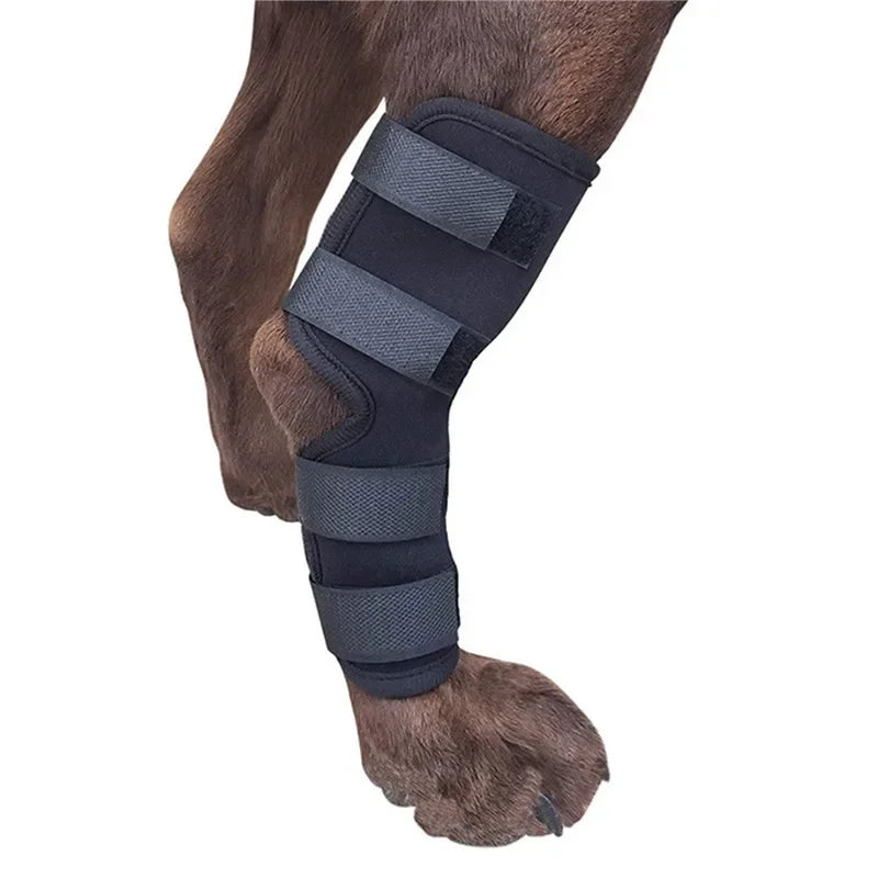 1Pair Pet Knee Pads Support Brace for Leg Hock Joint Wrap Injury Recover Legs Dog Protector Protects Bandage