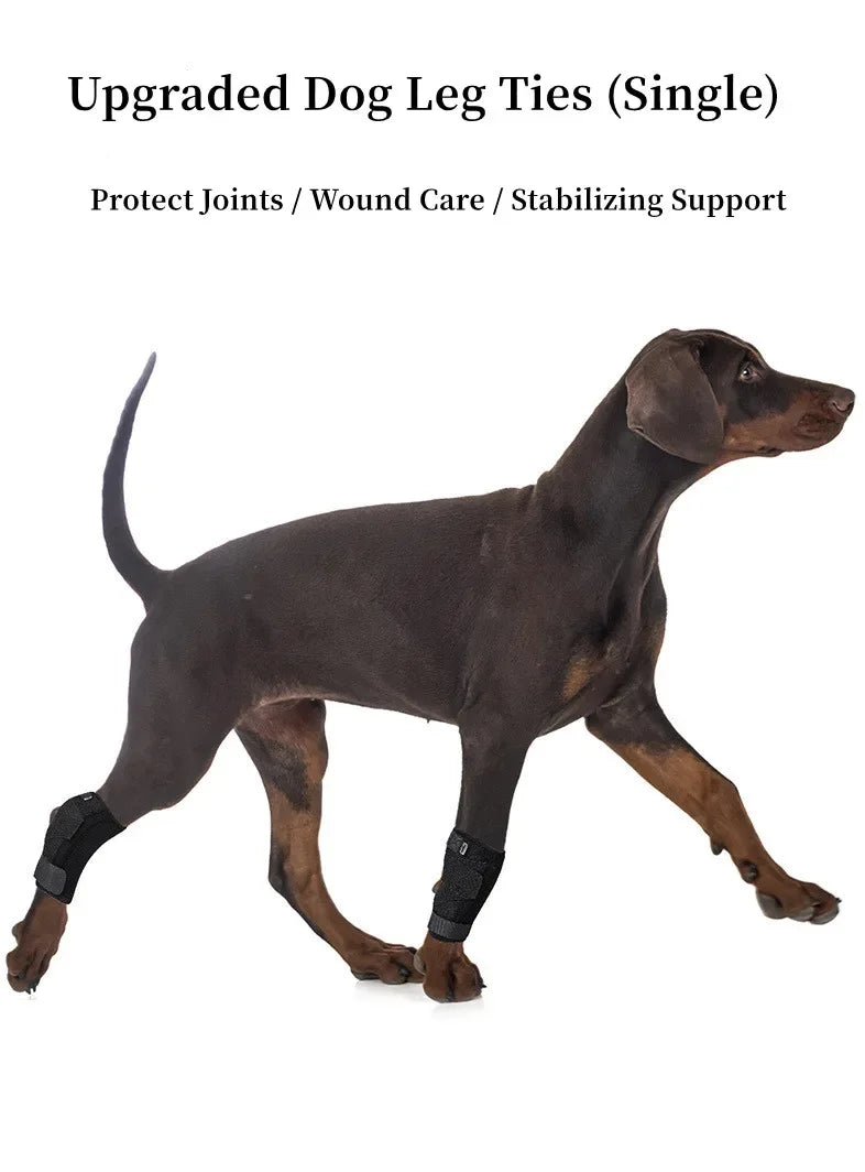 Updated Protects Bandage Dog Arthritis Protector Cover Dog Leg Support Dogs Hock Joint Brace Pet Knee Pads Dogs Injury Recovery