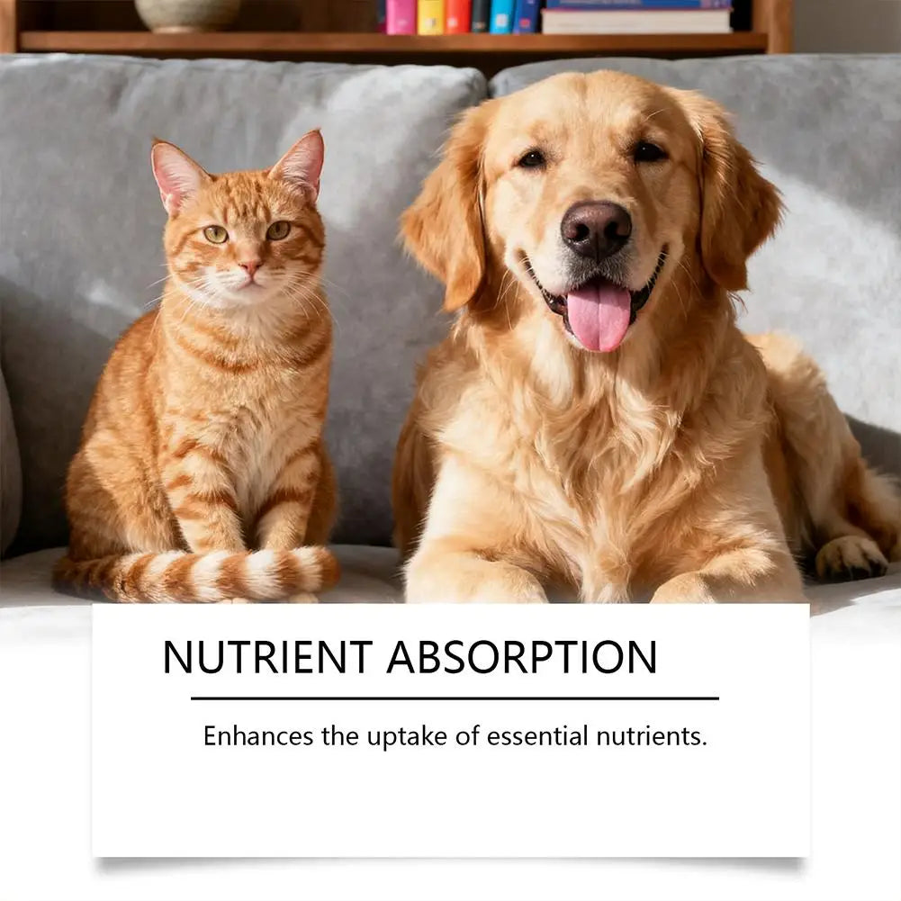 Pet Probiotic Drops, Dogs & Cats  Digestive & Immune Support