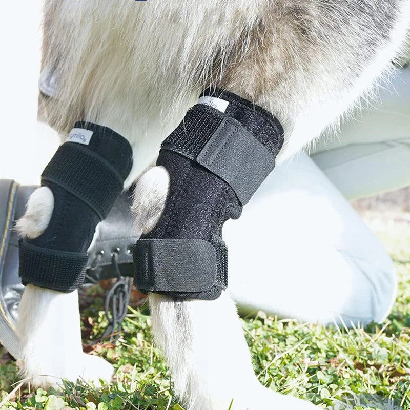 Protector Support Protects Bandage Pet Knee Pads Dogs Injury Recovery for Leg Hock Joint Wrap Breathable Injury Recover Legs Dog
