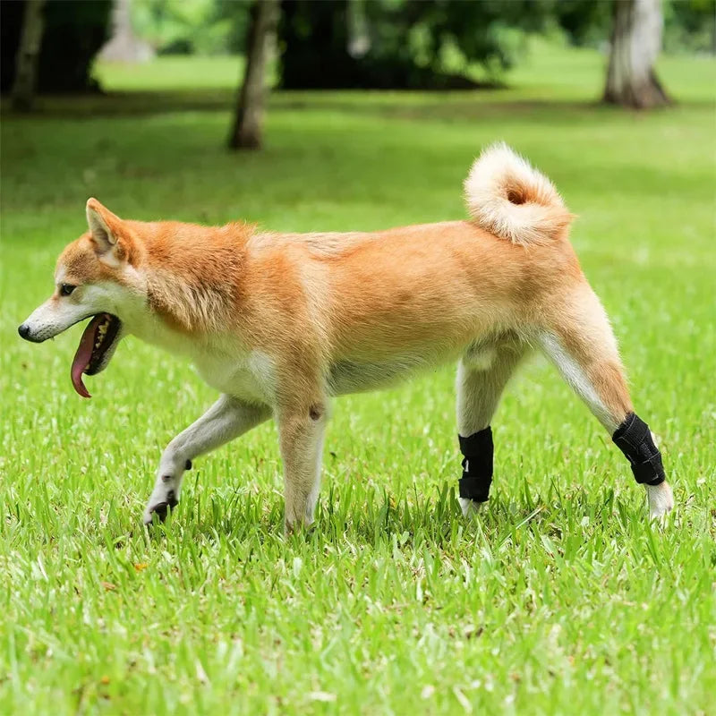 1Pair Pet Knee Pads Dog Arthritis Protector Cover Dog Leg Support Brace for Leg Hock Joint Wrap Injury Recover Dogs Supplies