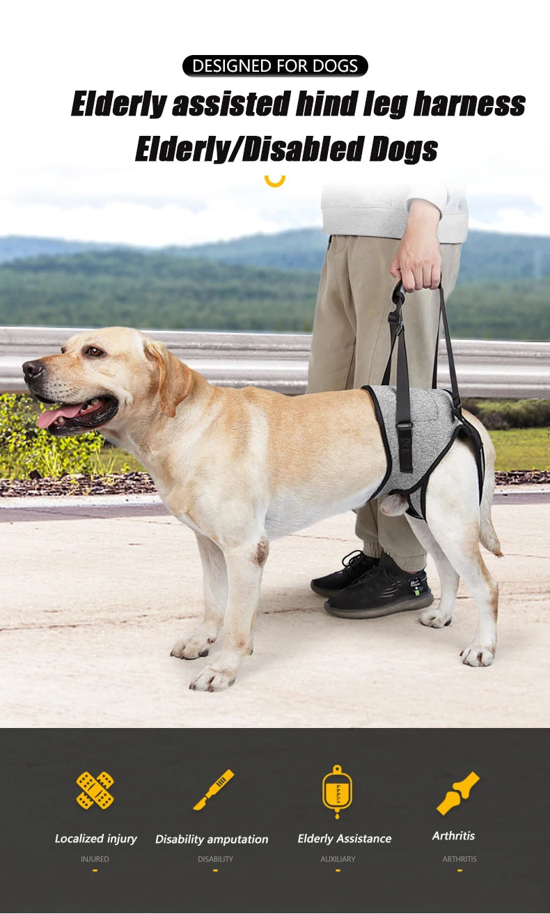 Adjustable Dog Lift Harness for Large Dogs Soft Padded Pet Rear Leg Support for Old Disabled Joint Injuries Dog Back Leg Hold