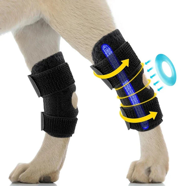 1 Pair Dog Knee Pads & Hock Joint Braces - Breathable Leg Support for Arthritis, Injury Recovery & Joint Protection