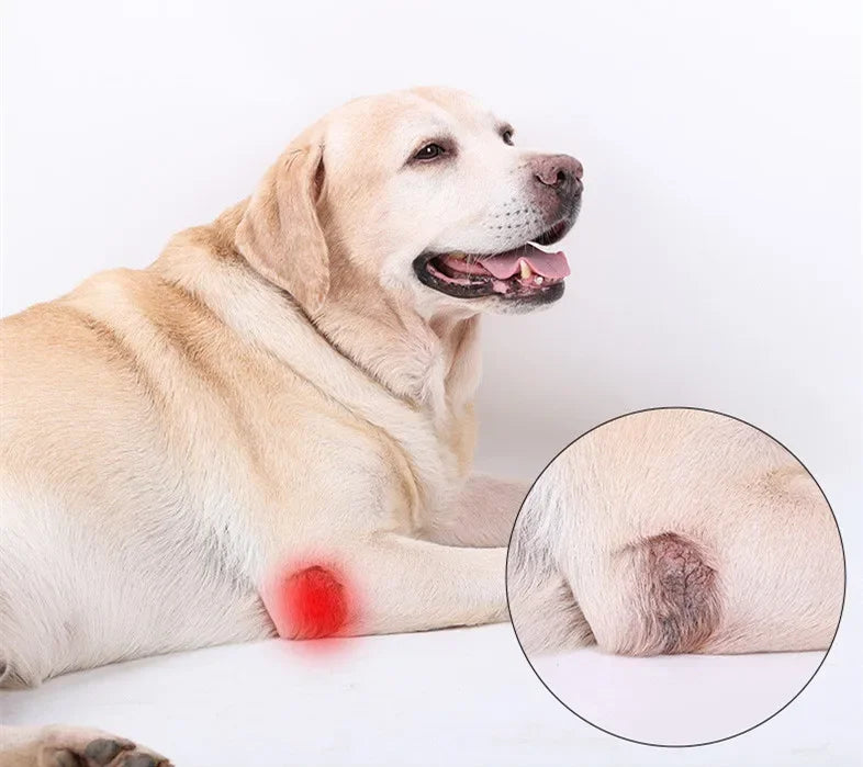Updated Protects Bandage Dog Arthritis Protector Cover Dog Leg Support Dogs Hock Joint Brace Pet Knee Pads Dogs Injury Recovery