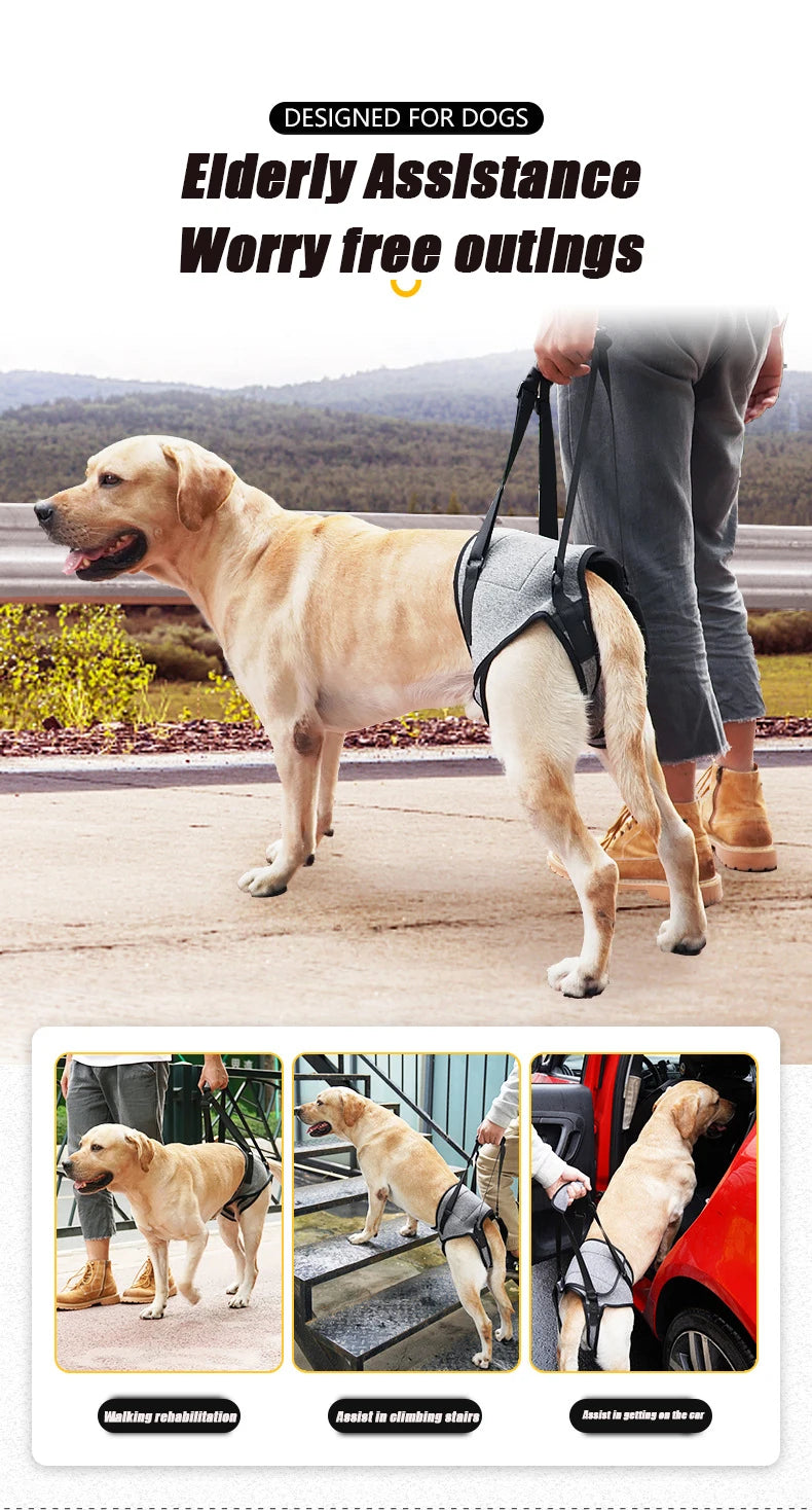 Adjustable Dog Lift Harness for Large Dogs Soft Padded Pet Rear Leg Support for Old Disabled Joint Injuries Dog Back Leg Hold