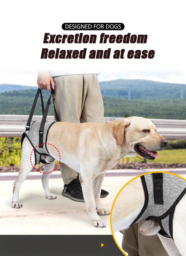 Adjustable Dog Lift Harness for Large Dogs Soft Padded Pet Rear Leg Support for Old Disabled Joint Injuries Dog Back Leg Hold