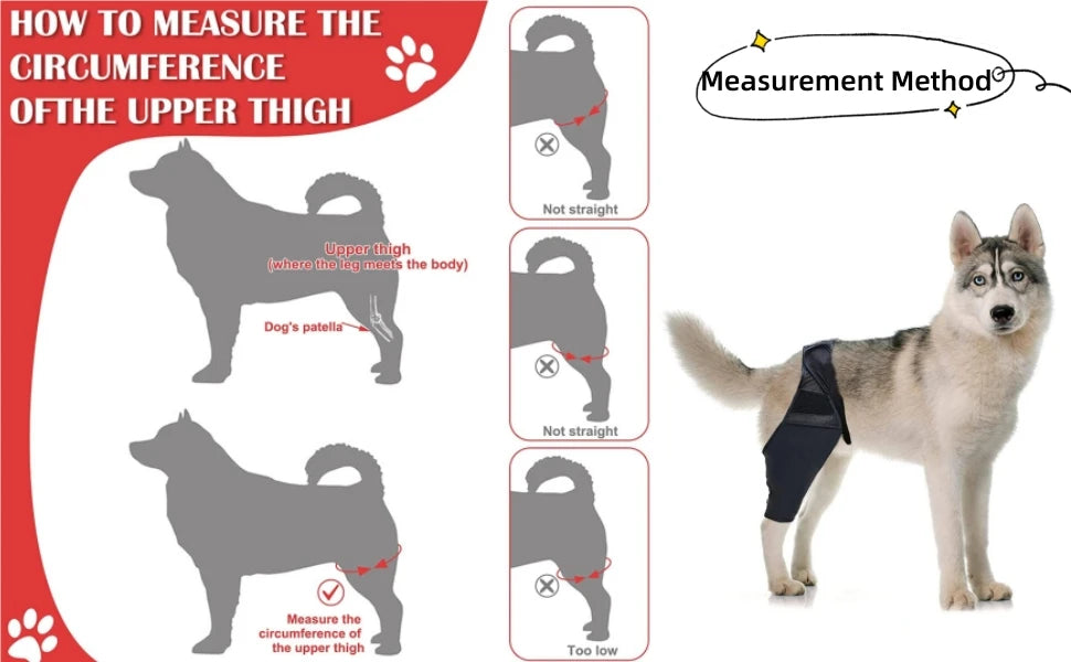 Pet Dog Knee Brace For Joint Pain Muscle Sore Leg Brace Rear Leg Bracer Support For Elderly Disabled Injured Dogs knee brace