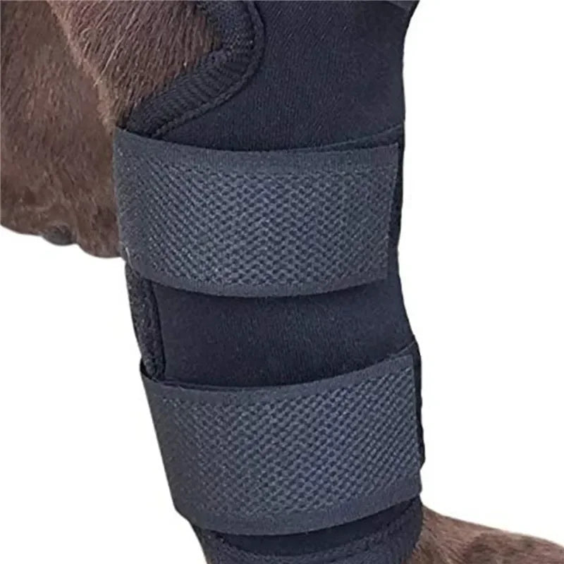 1Pair Pet Knee Pads Support Brace for Leg Hock Joint Wrap Injury Recover Legs Dog Protector Protects Bandage