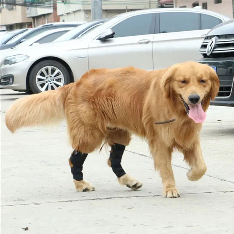 1Pair Pet Knee Pads Support Brace for Leg Hock Joint Wrap Injury Recover Legs Dog Protector Protects Bandage