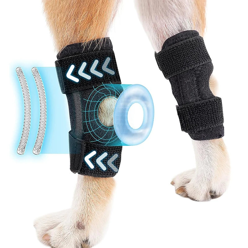 Pet Joint Support
