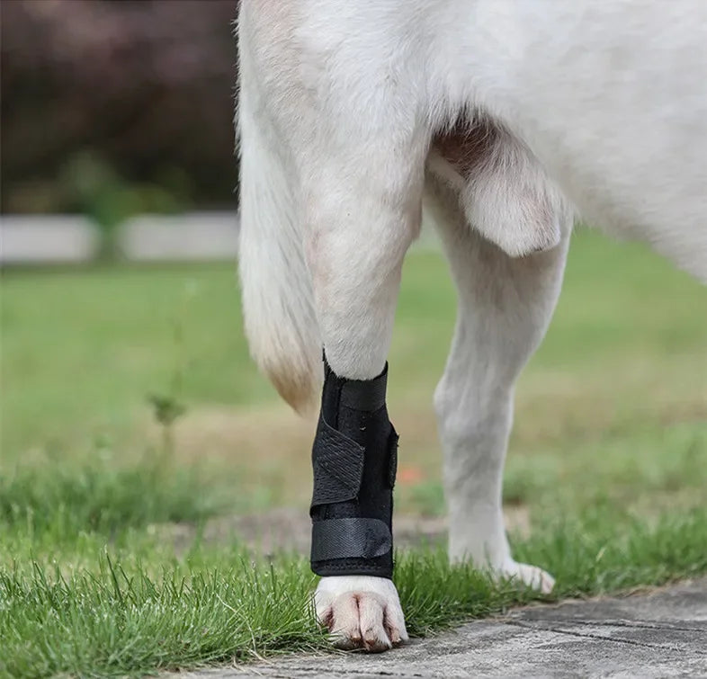 Updated Protects Bandage Dog Arthritis Protector Cover Dog Leg Support Dogs Hock Joint Brace Pet Knee Pads Dogs Injury Recovery