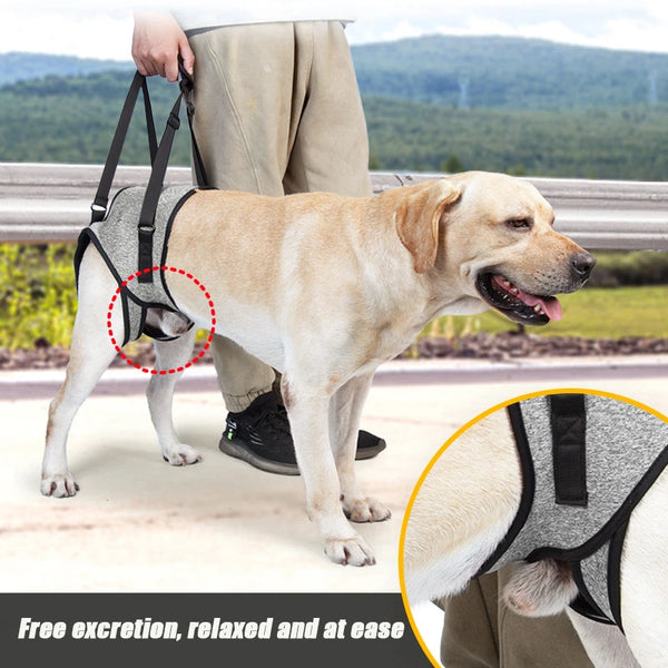 Adjustable Dog Lift Harness - Soft Padded Rear Leg Support Sling for Large, Senior & Disabled Dogs - Injury Recovery Aid