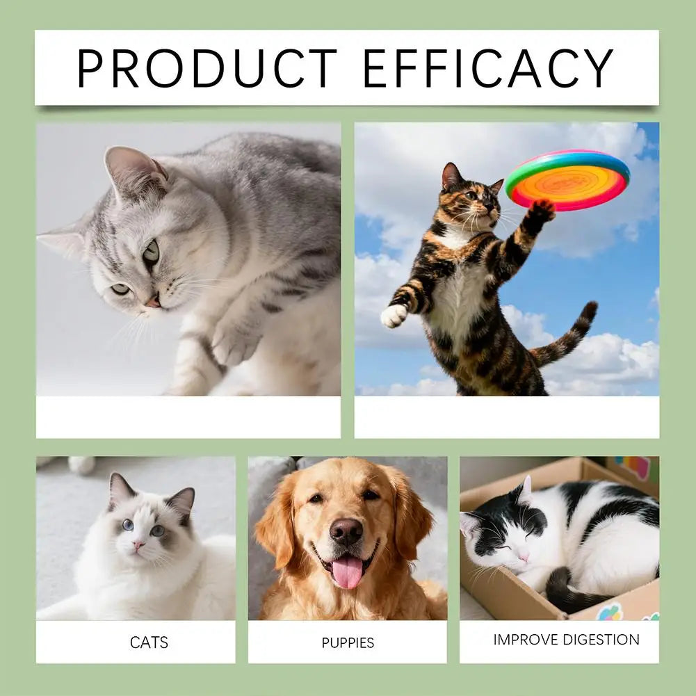 Pet Probiotic Drops, Dogs & Cats  Digestive & Immune Support