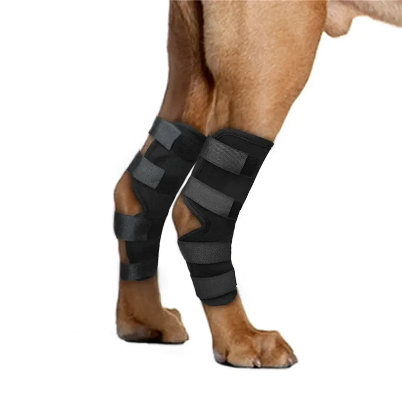 1Pair Pet Knee Pads Support Brace for Leg Hock Joint Wrap Injury Recover Legs Dog Protector Protects Bandage