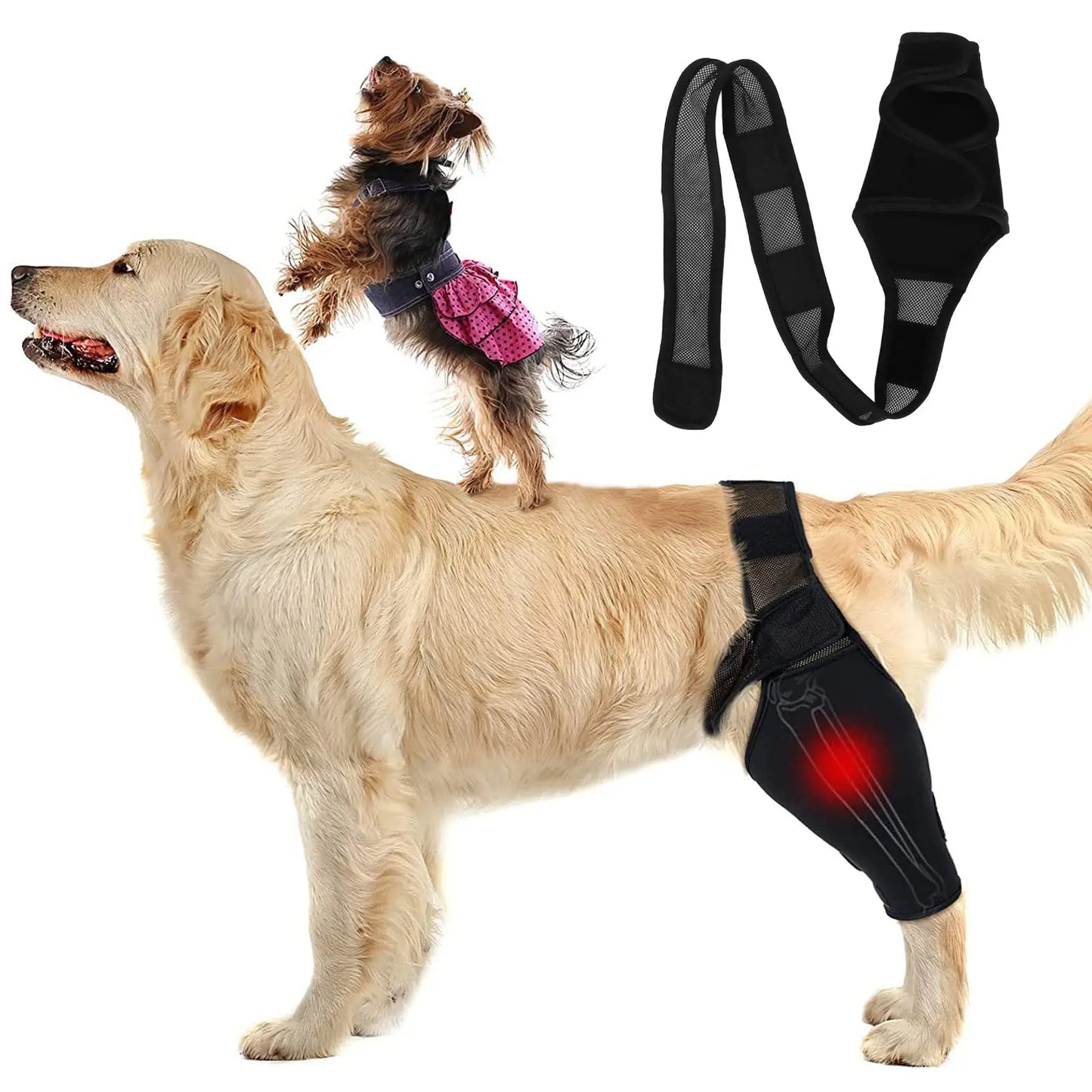 Pet Dog Knee Brace For Joint Pain Muscle Sore Leg Brace Rear Leg Bracer Support For Elderly Disabled Injured Dogs knee brace