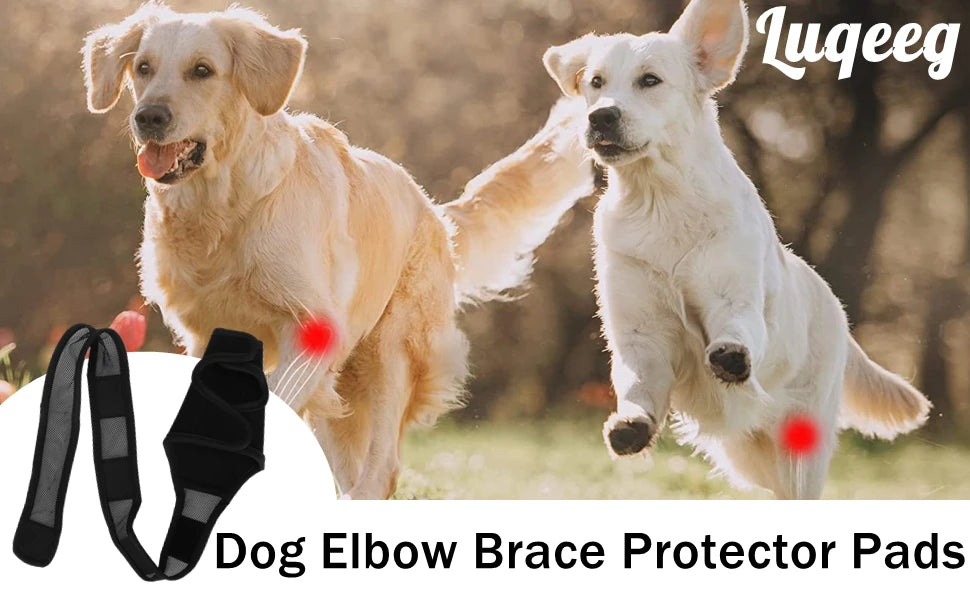 Pet Dog Knee Brace For Joint Pain Muscle Sore Leg Brace Rear Leg Bracer Support For Elderly Disabled Injured Dogs knee brace