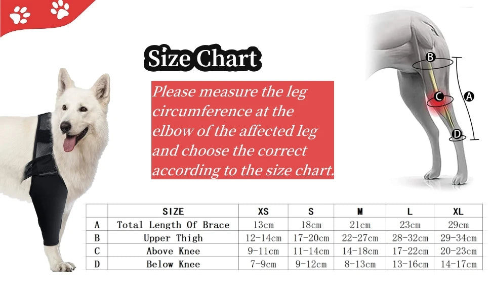 Pet Dog Knee Brace For Joint Pain Muscle Sore Leg Brace Rear Leg Bracer Support For Elderly Disabled Injured Dogs knee brace