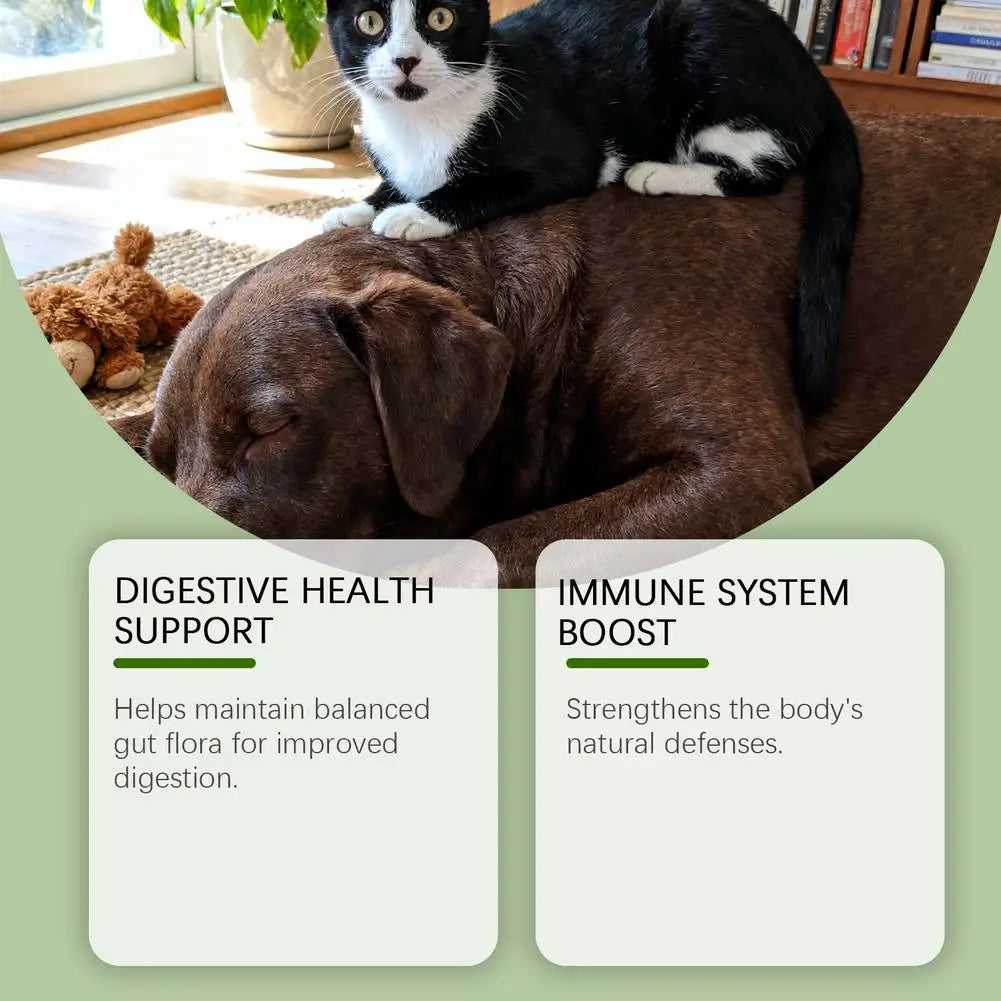 Pet Probiotic Drops, Dogs & Cats  Digestive & Immune Support